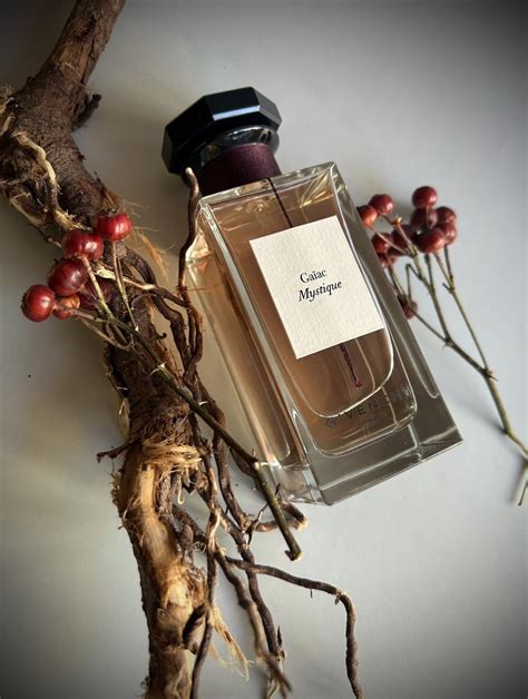 givenchy gaiac mystique review|Gaiac Mystique Givenchy for women and men .